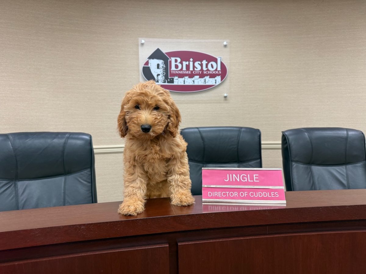 Jingle's important job as the "Director of Cuddles" comes with a fancy nameplate. (Rebecca House) 