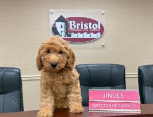 Jingle's important job as the "Director of Cuddles" comes with a fancy nameplate. (Rebecca House) 