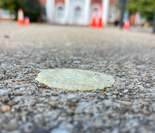 The substance looks faintly like smooshed ravioli, flattened on the walkway heading towards the front doors of the school.