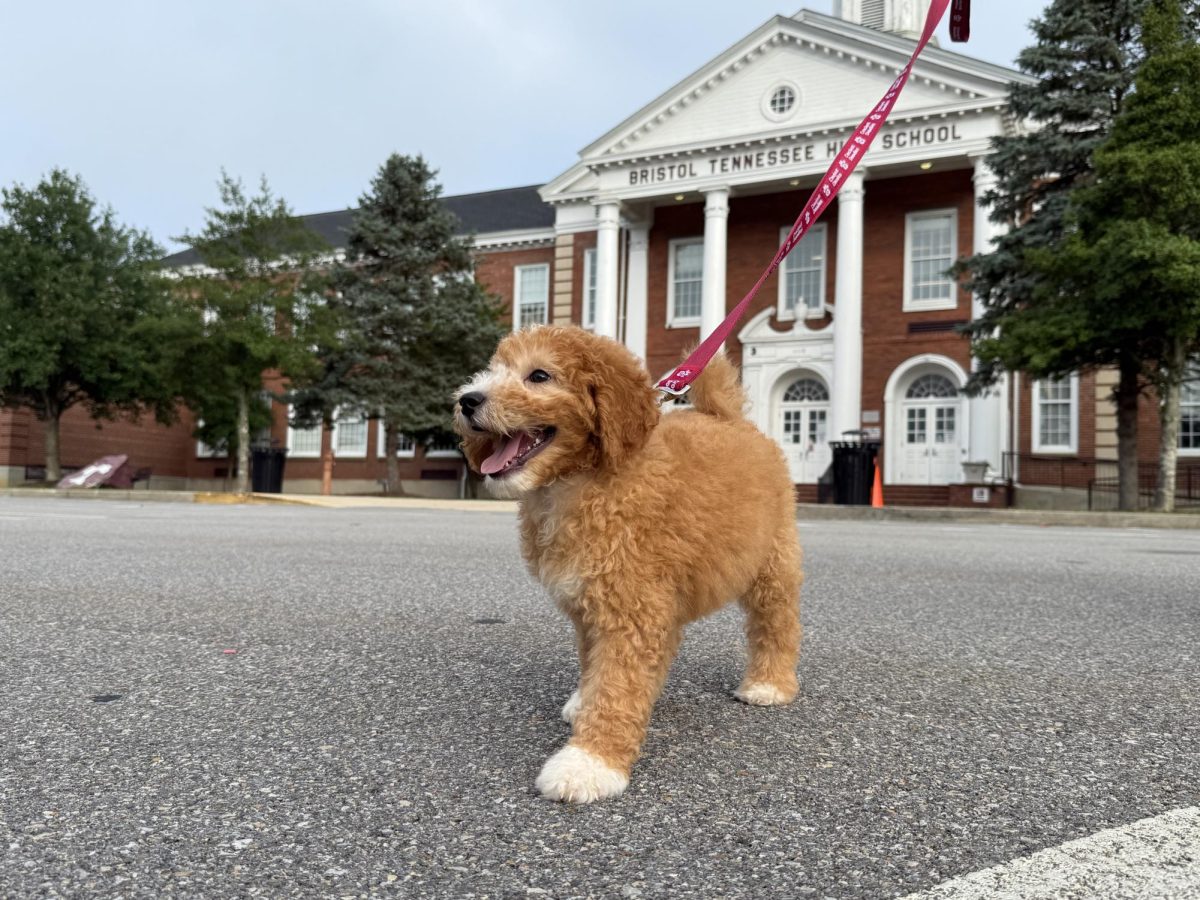 Dolly smiles in front of her future workplace, Bristol Tennessee High School.