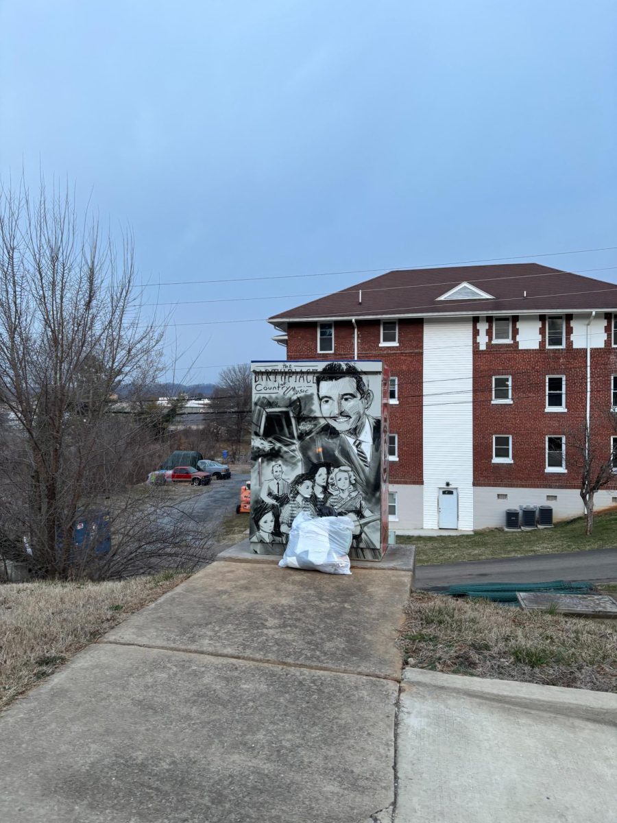 At the intersection of Anderson Street and Pennsylvania Avenue, an electrical box has recently been painted with the likeness of Ford.