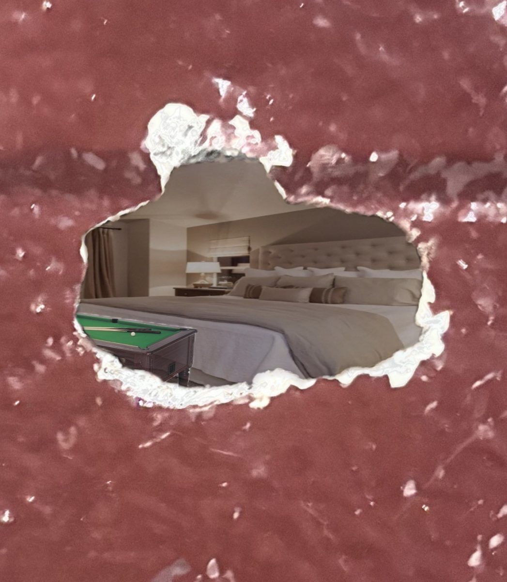 In Viking Hall, a small crack in the wall reveals a labyrinth of hidden lounges where retired teachers reside, full of nice couches, pool tables, TVS, and of course, bookshelves.